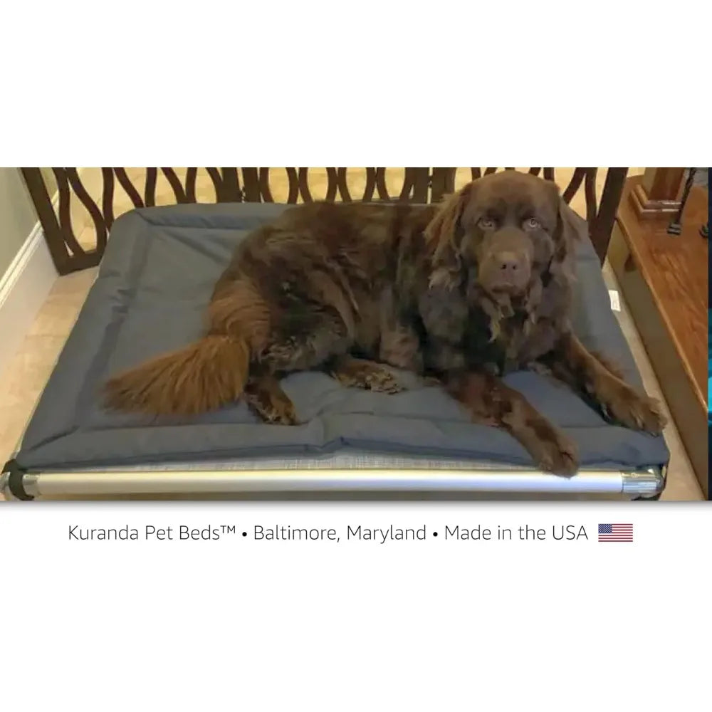 durable cordura pet bed - 25x18 inches - smoke grey