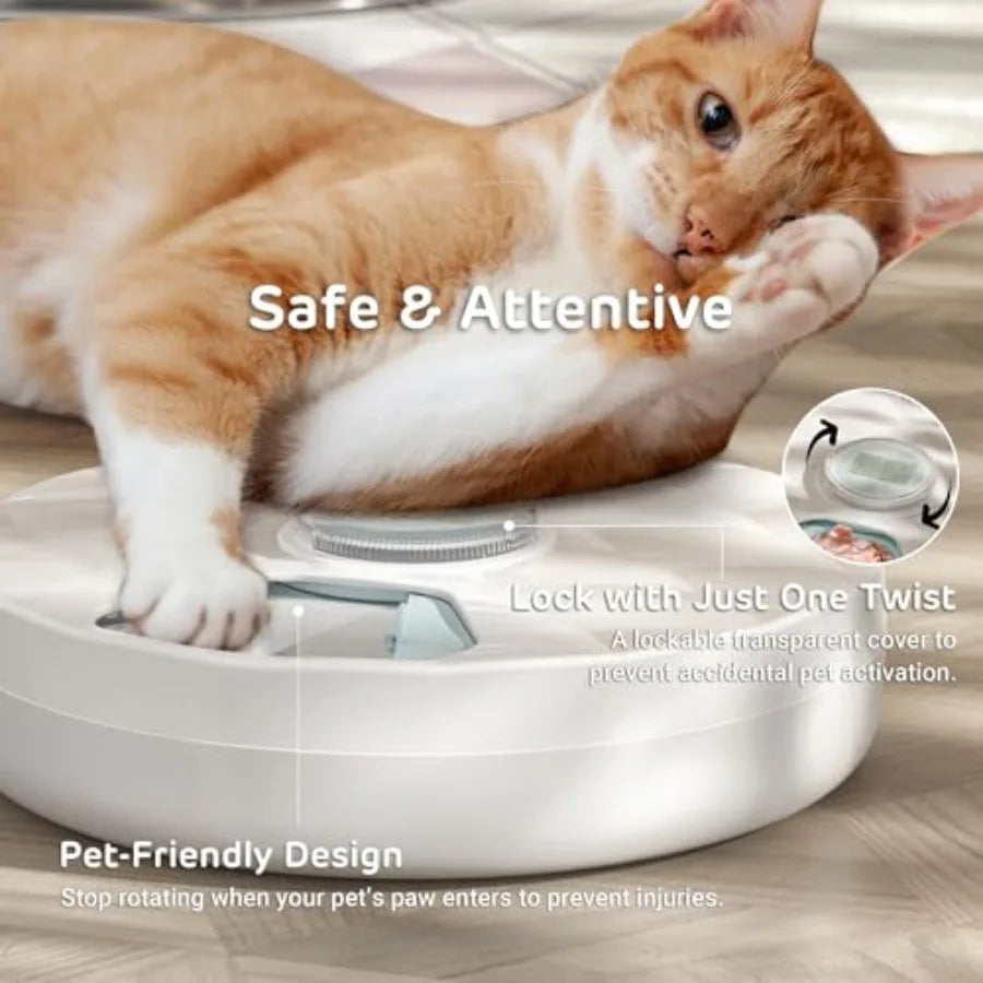 Brioche Automatic Wet Food Feeder for Pets with Two Ice Packs Perfect for Newborn Senior Sick Cats and Small Dogs Stainless Ste