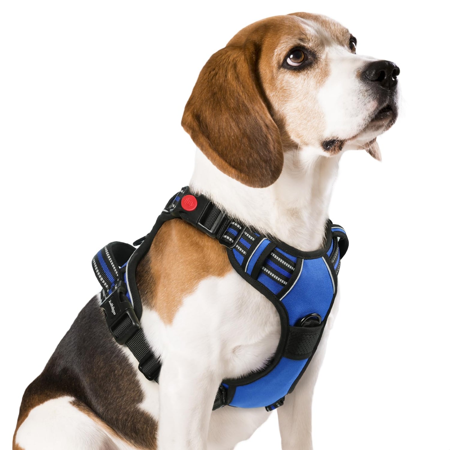 Harnesses for dogs