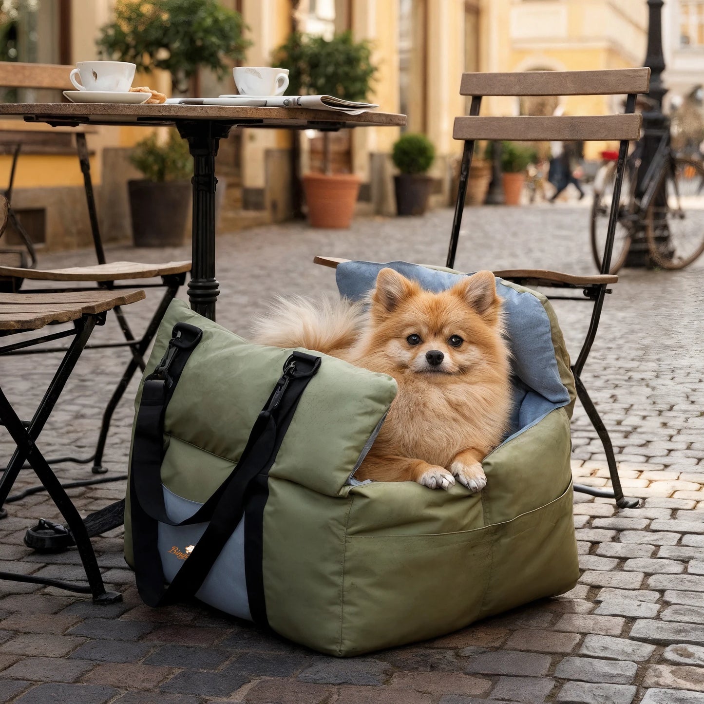 Dog Car Seat Safe & Cozy Travel Bed and Carrier for Small Dogs, Puppies, Pets up to 10 KG, Clip-On Leash & Storage Pockets