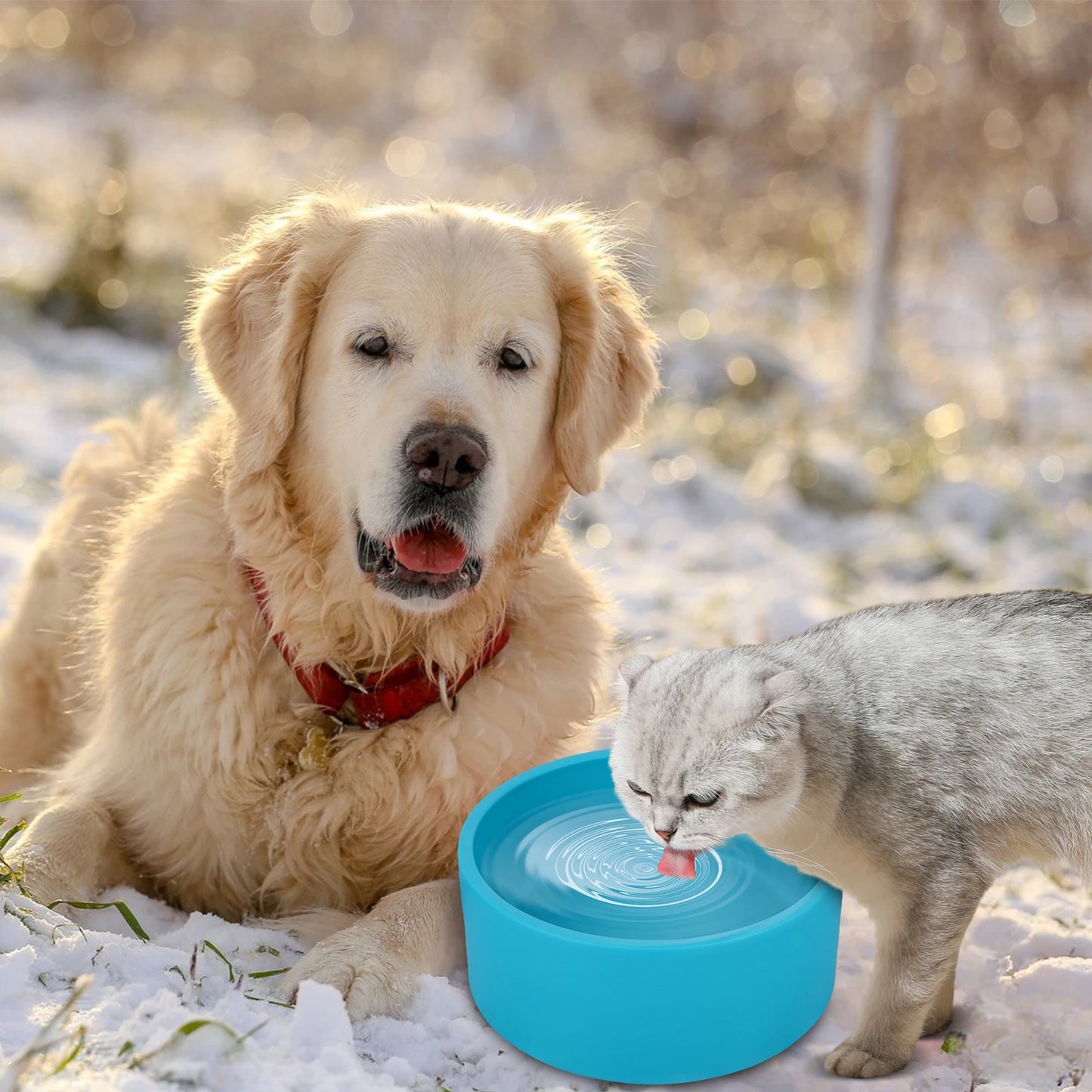 Heated Water Bowl 3.2 L/108 Oz Outdoor Thermal Pet Bowl Anti-Freeze Heated Pet Water Dish in Winter for Dog Cat Chicken Duck