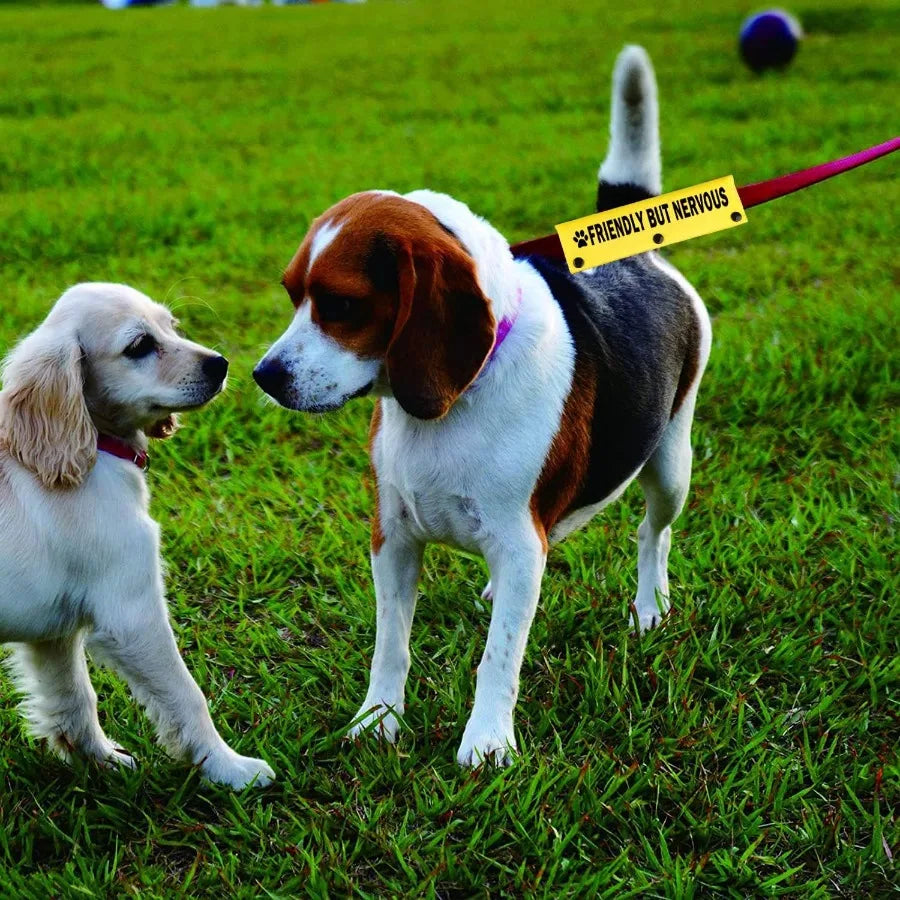 Funny Leash Sleeve for Friendly But Nervous Dogs: Practical and Stylish Wrap to Calm Anxiety During Walks Ideal Pet Birthday Gi