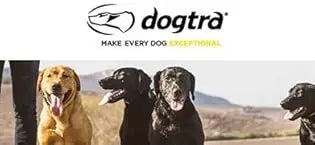 Remote Dog Training E-Collar, HANDSFREE Square, 3/4-Mile Range, Rechargeable, Waterproof, High-Output, 1 Dog System, eCollar