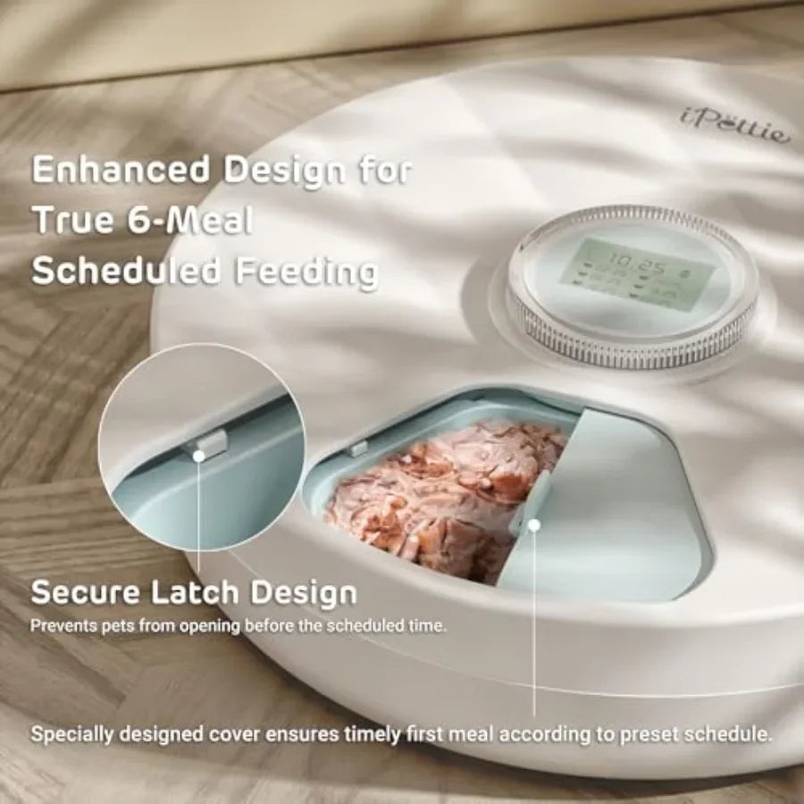 Brioche Automatic Wet Food Feeder for Pets with Two Ice Packs Perfect for Newborn Senior Sick Cats and Small Dogs Stainless Ste