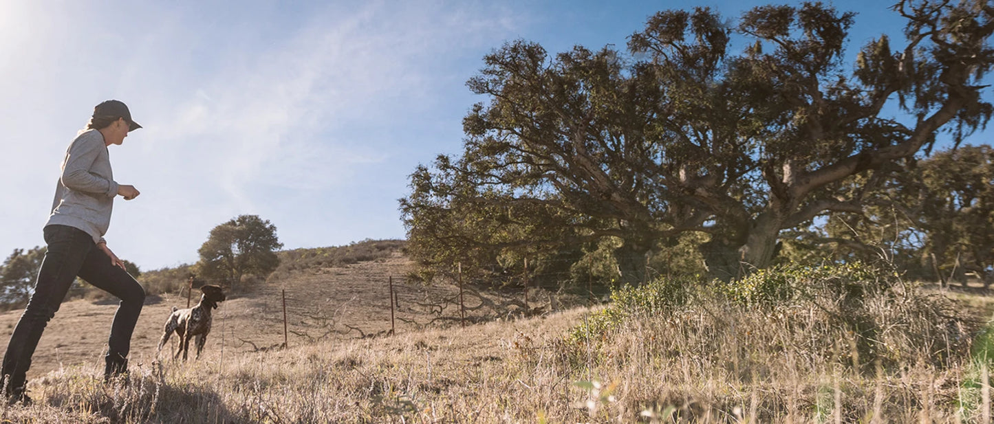 Remote Dog Training E-Collar, HANDSFREE Square, 3/4-Mile Range, Rechargeable, Waterproof, High-Output, 1 Dog System, eCollar