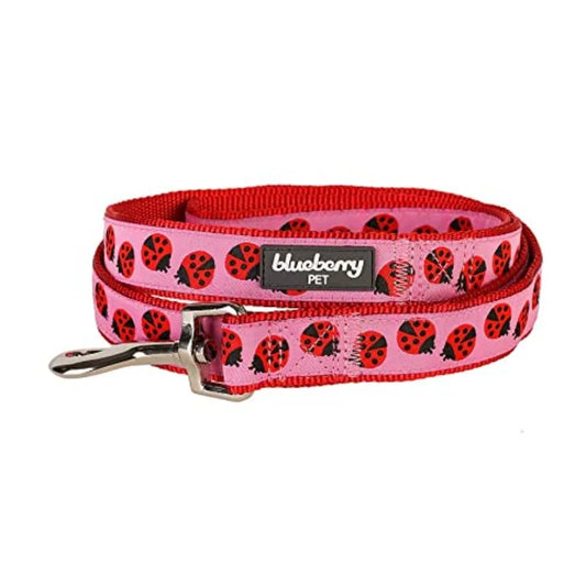 Essentials 2 Patterns Durable Pink Webbing Ladybug Designer Dog Leash 4 ft x 1 Large Basic Nylon Leashes for Dogs in Outdoor Wa