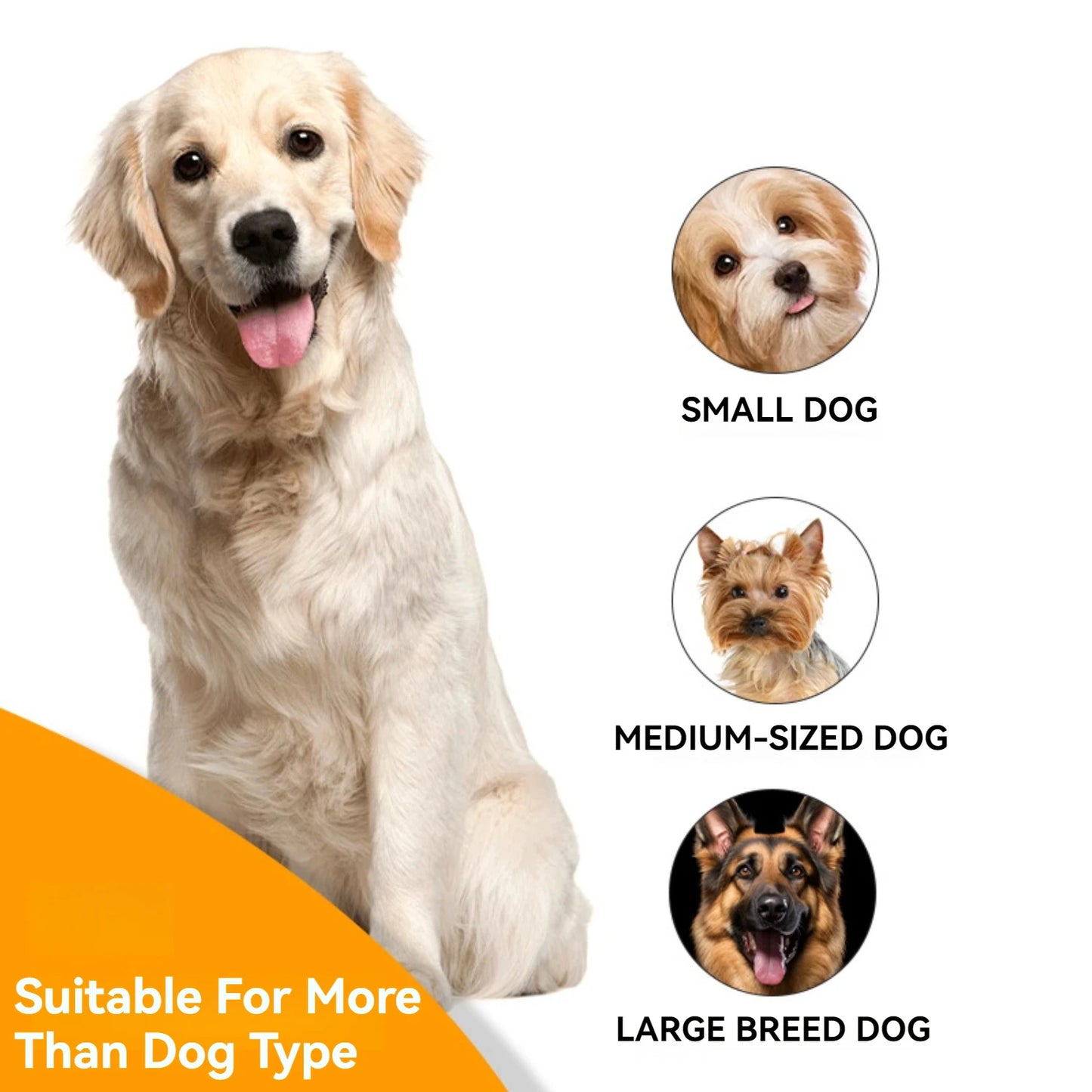 Nail Scratch Board Wood Scratch Pad for Nail Dogs with Treat Box Stress Free Dog Scratch Pad for Nails Nail File Board for Puppy