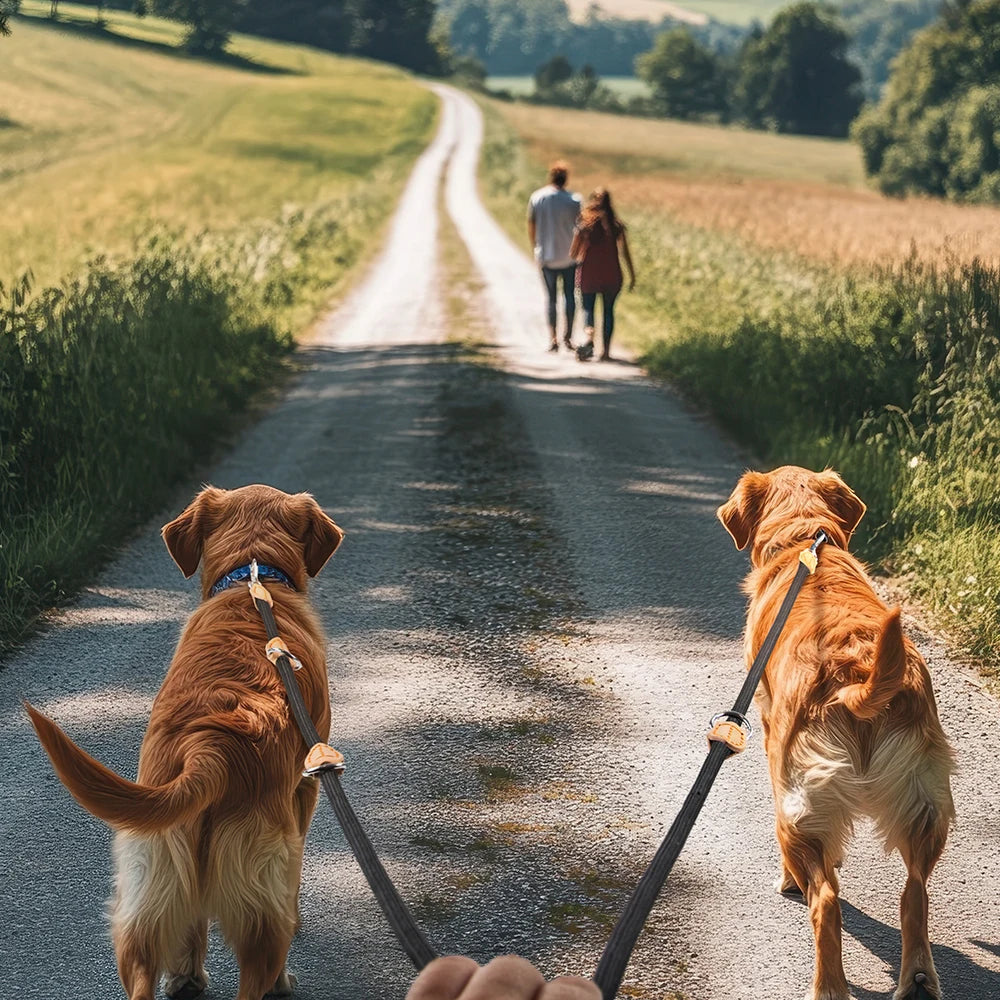 New Generation Dog Leash multifunctional 2.1M Generation Adjustable and Nylon For Large Hands Free Leash for 2 Dogs Universal