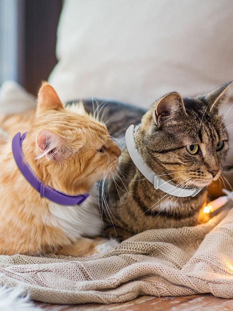 4Pcs Cat Calming Collar Soothing Collar Adjustable Cat Pheromone Collar Helps with Aggression Comfort Cat Calm Collar for Cats