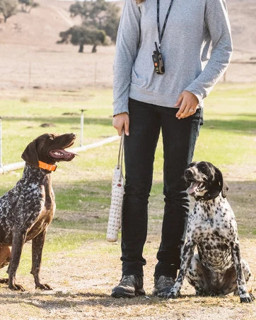 Remote Dog Training E-Collar, HANDSFREE Square, 3/4-Mile Range, Rechargeable, Waterproof, High-Output, 1 Dog System, eCollar