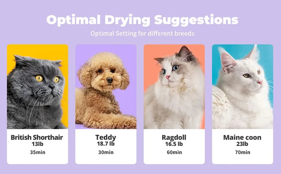 71L Ultra Quiet Pet Dryer Box for Dogs & Cats, Smart Temp Control, Ambient Light & Lock, Large Capacity Hair Dryer Box