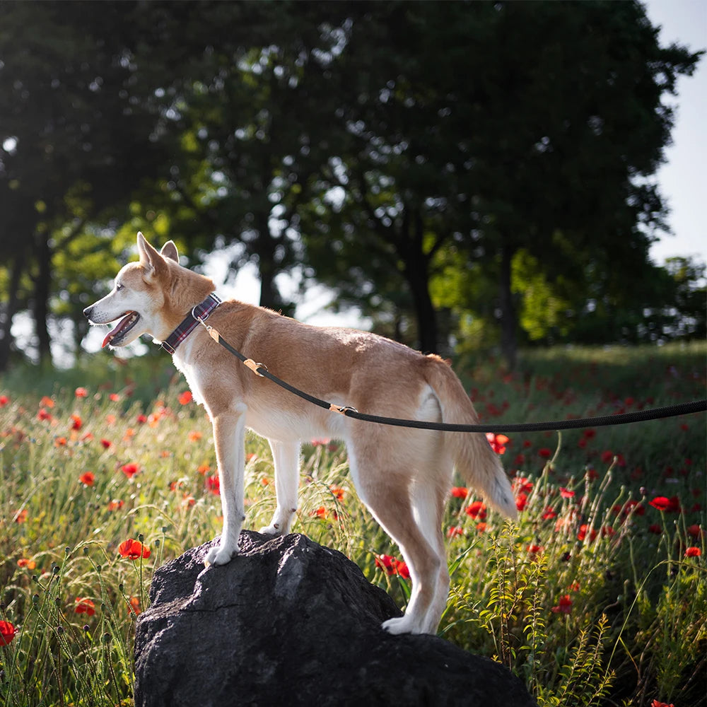 New Generation Dog Leash multifunctional 2.1M Generation Adjustable and Nylon For Large Hands Free Leash for 2 Dogs Universal