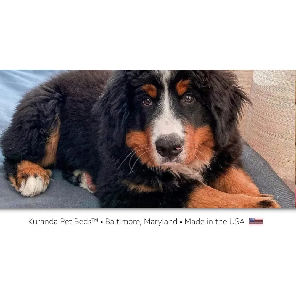 durable cordura pet bed - 25x18 inches - smoke grey