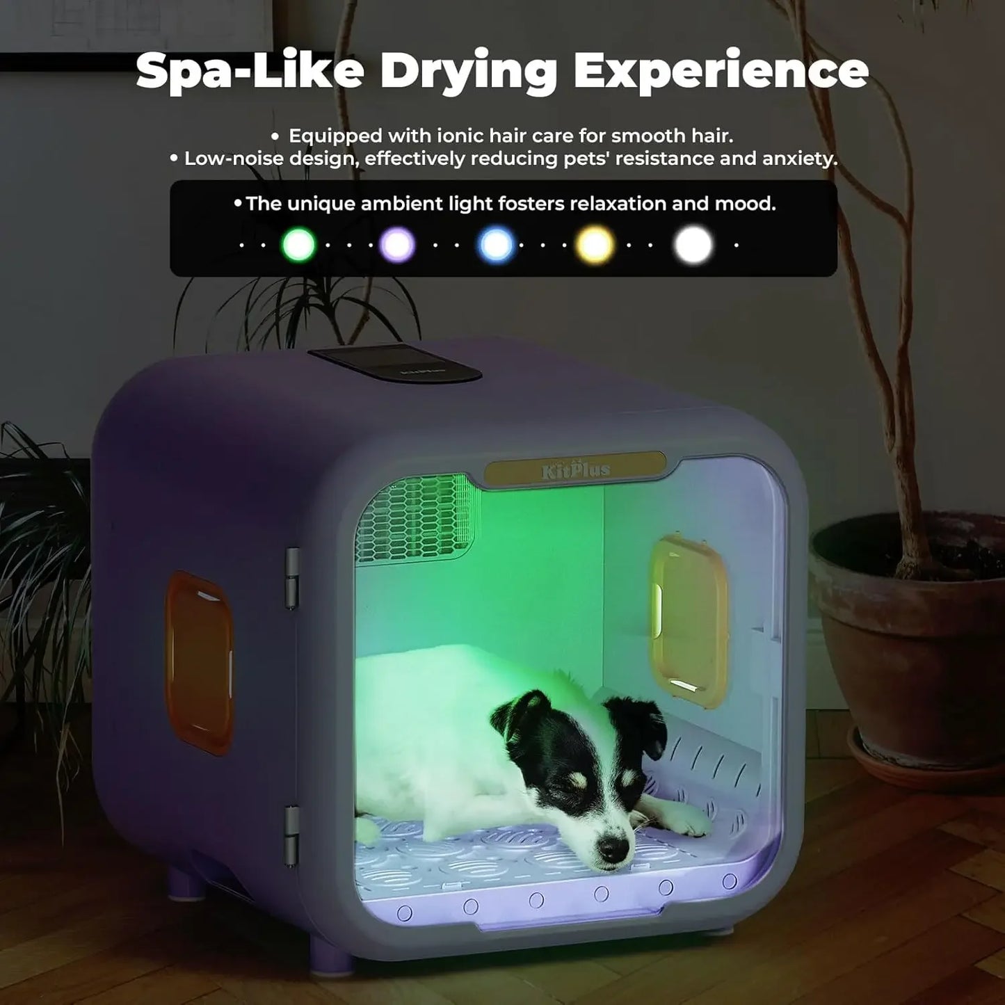 71L Ultra Quiet Pet Dryer Box for Dogs & Cats, Smart Temp Control, Ambient Light & Lock, Large Capacity Hair Dryer Box
