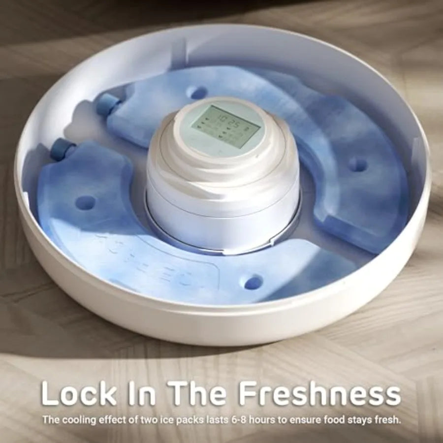 Brioche Automatic Wet Food Feeder for Pets with Two Ice Packs Perfect for Newborn Senior Sick Cats and Small Dogs Stainless Ste