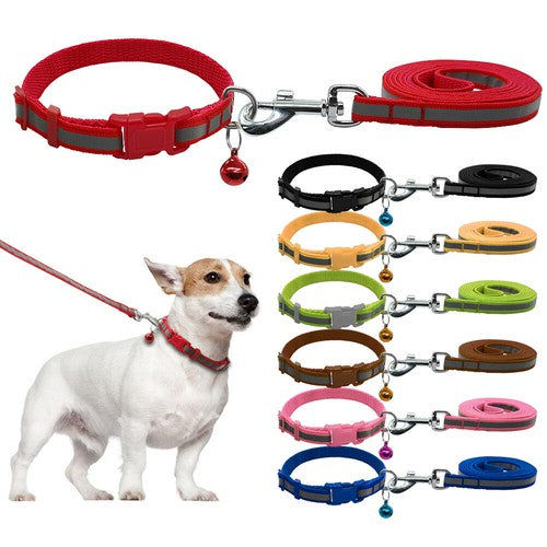 Collars and Leashes